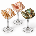 COFFRET DE 3 COUPES PERLE MARINE™ EN COQUILLAGES NATURELS