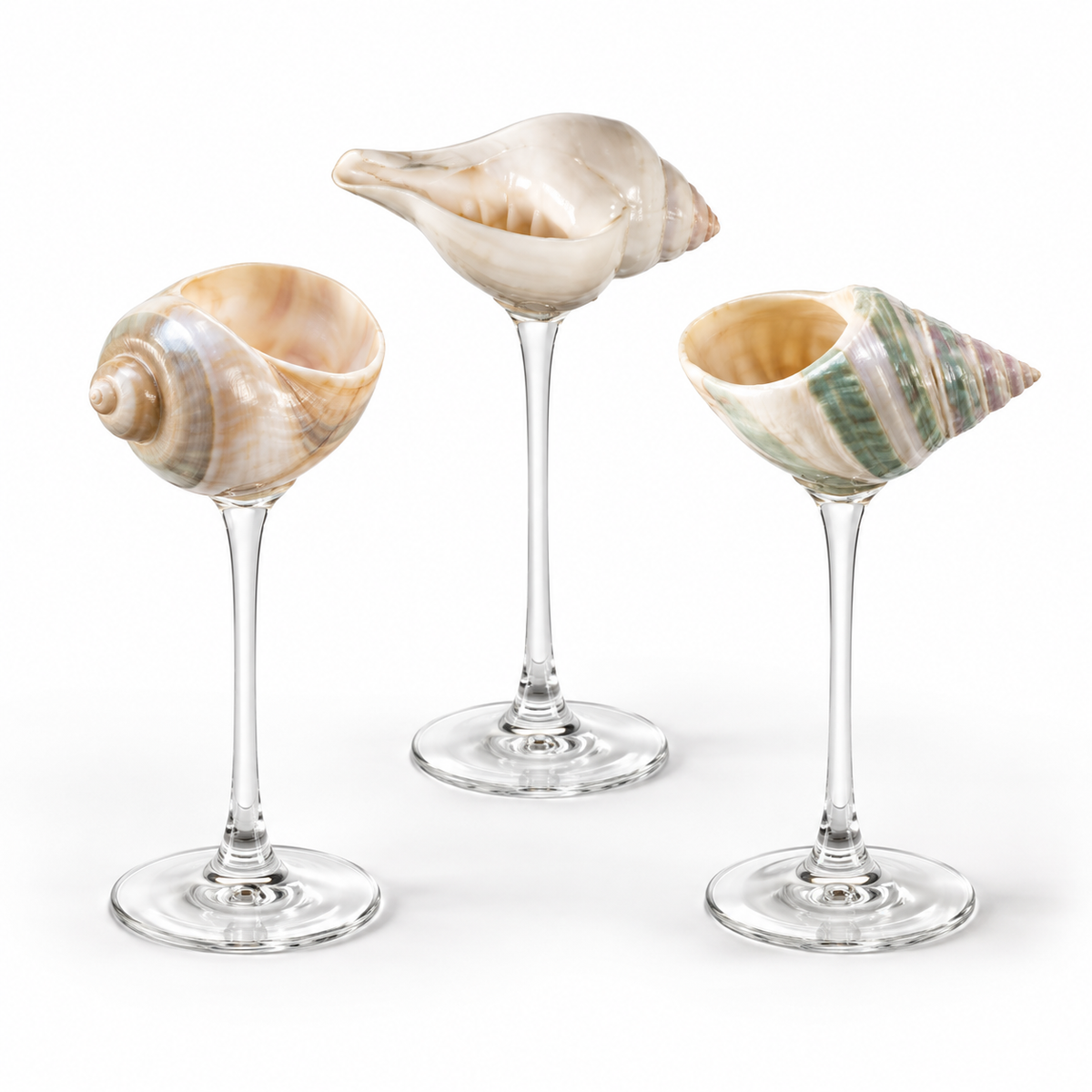 COFFRET DE 3 COUPES PERLE MARINE™ EN COQUILLAGES NATURELS