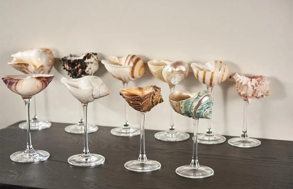 COFFRET DE 3 COUPES PERLE MARINE™ EN COQUILLAGES NATURELS