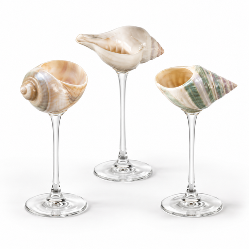 COFFRET DE 3 COUPES PERLE MARINE™ EN COQUILLAGES NATURELS