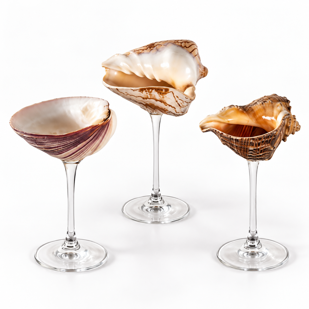 COFFRET DE 3 COUPES PERLE MARINE™ EN COQUILLAGES NATURELS